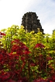 Dieng Plateau 'Candi Bima' 21_10_2010 (19)